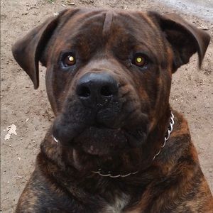 Meet your Posher, Terrence